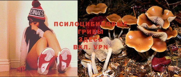 тгк Верхний Тагил