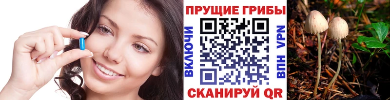 Галлюциногенные грибы Psilocybine cubensis  закладки  Камышлов 